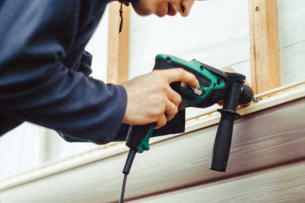 Best Custom Siding Design  in Brooklet, GA